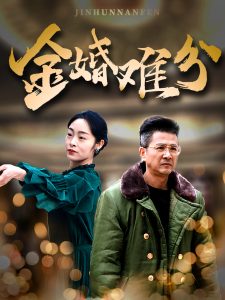 日韩精品视频在线观看hd