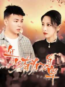 来点午夜视频
