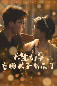 pr福利在线导航