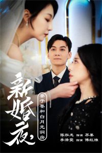 國產精品秦先生14