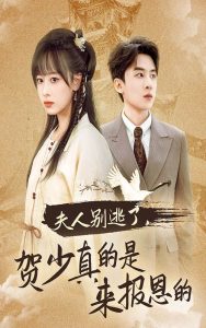 日韩联合女团回归视频