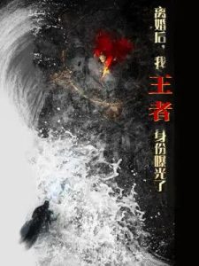 亚洲一级伧理片