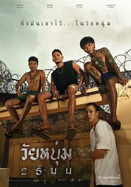 歐美貓咪進(jìn)化史視頻在線觀看