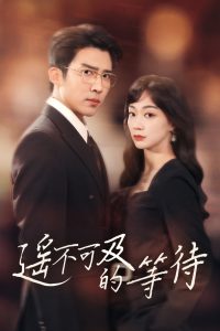 神馬視頻午夜馬圈