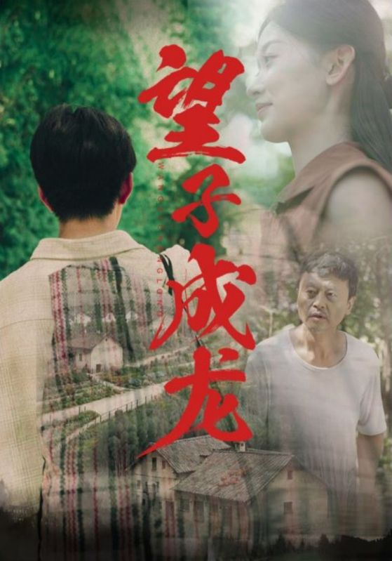 日韩的欧美的亚洲的综合