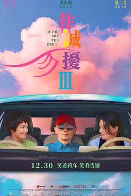 非誠(chéng)勿擾3[電影解說(shuō)]