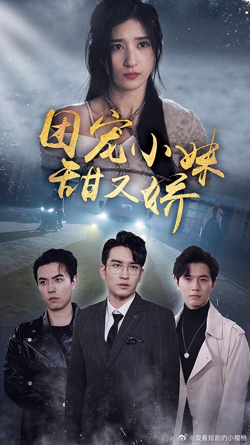 苏恩视频在线你懂的