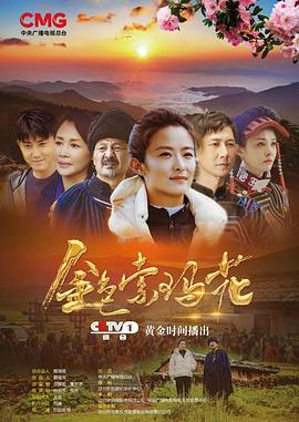 无码合集电影网