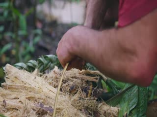 朝田無碼番號