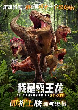 廈門你懂的