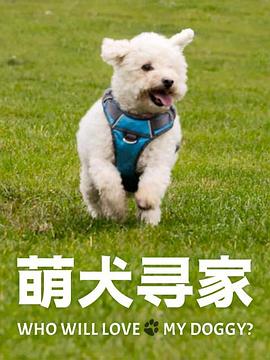 无码拍摄的公司