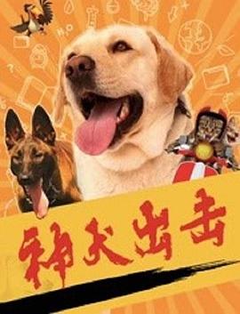 成都欧美在线外教怎么样