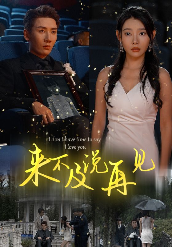情圣梦天堂在线播放