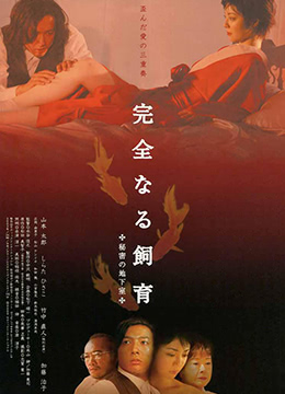 日韓毛絨三只兔子在線觀看