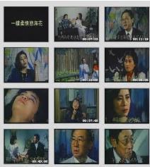 亞洲午夜精品一級毛片a