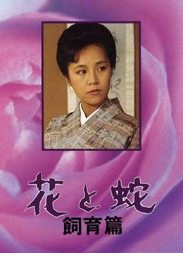 一级大尺度无码免费看