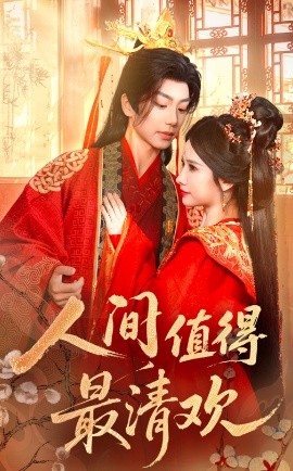 午夜红酒视频大全高清版